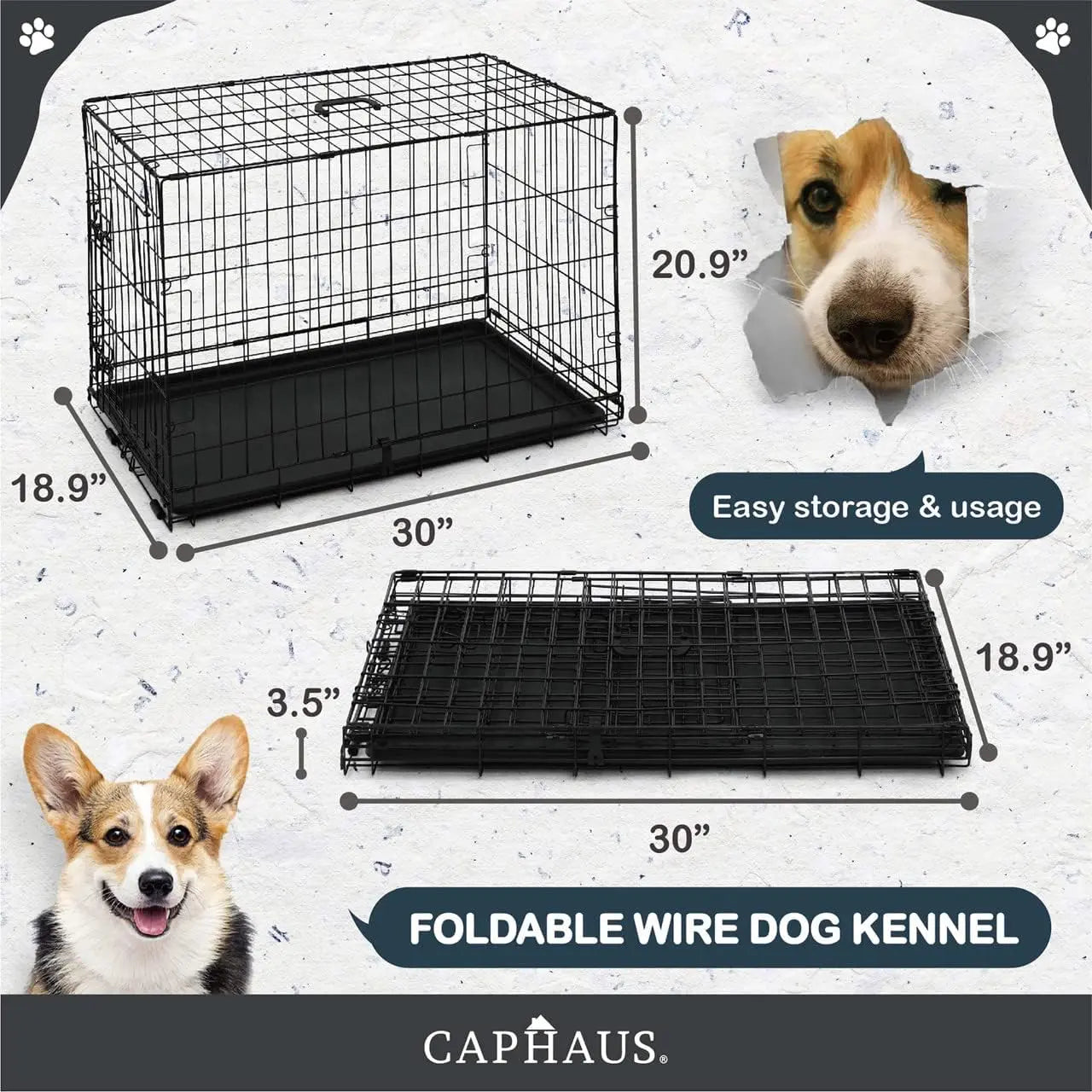 CAPHAUS Foldable Wire Dog Crate with Leak-Proof Pan, Protective Feet, and Divider Panel for Small, Medium, and Large Dogs - Available in 24” and 30” Single Door Options