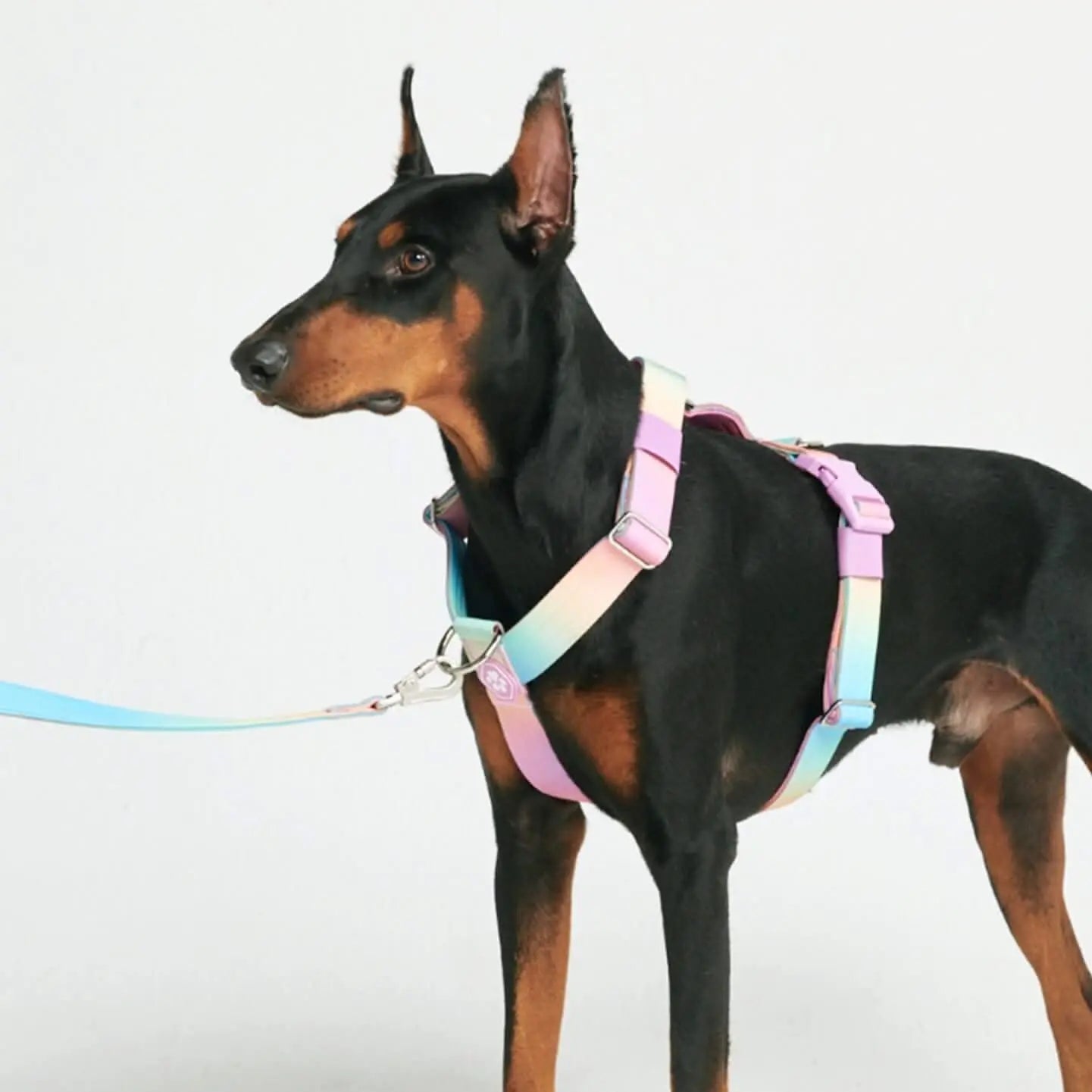 Spark Paws Comfort Control Large Dog No-Pull Harness with Front Clip - Durable Halter Design for Strong Breeds