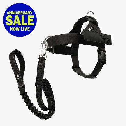 Dog Friendly Co. No-Pull Harness with D-Ring and Bungee Leash