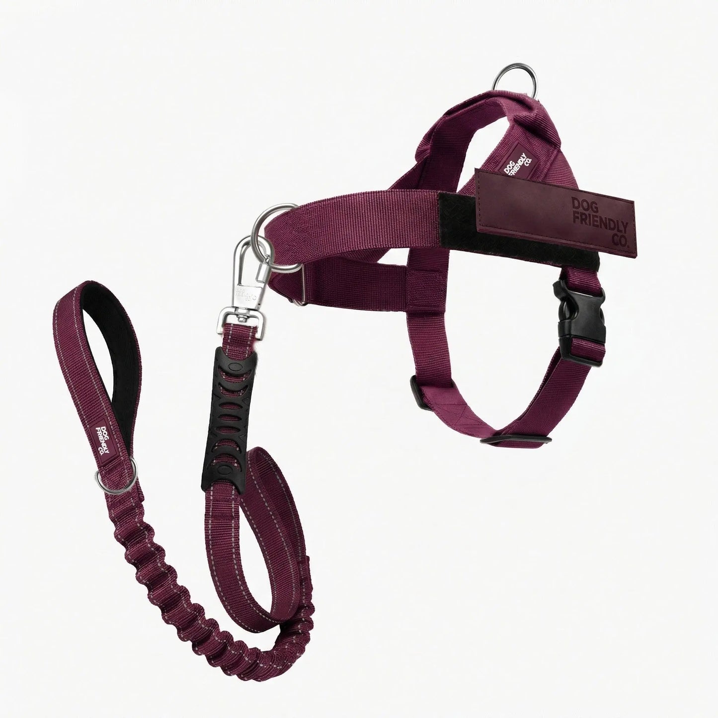 Dog Friendly Co. No-Pull Harness with D-Ring and Bungee Leash