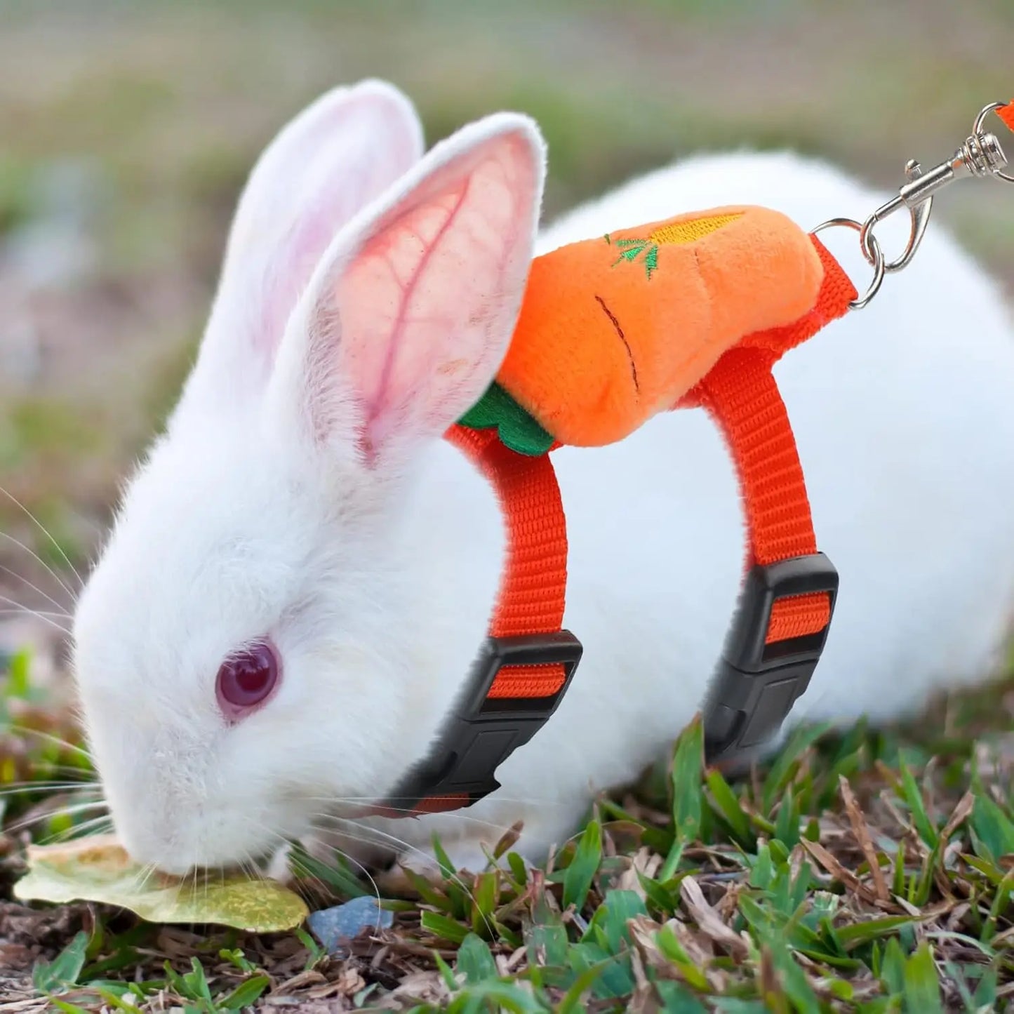 4-Pack Adjustable Rabbit Vest Harness with Traction Rope for Small Pets - Ideal for Walking and Outdoor Activities