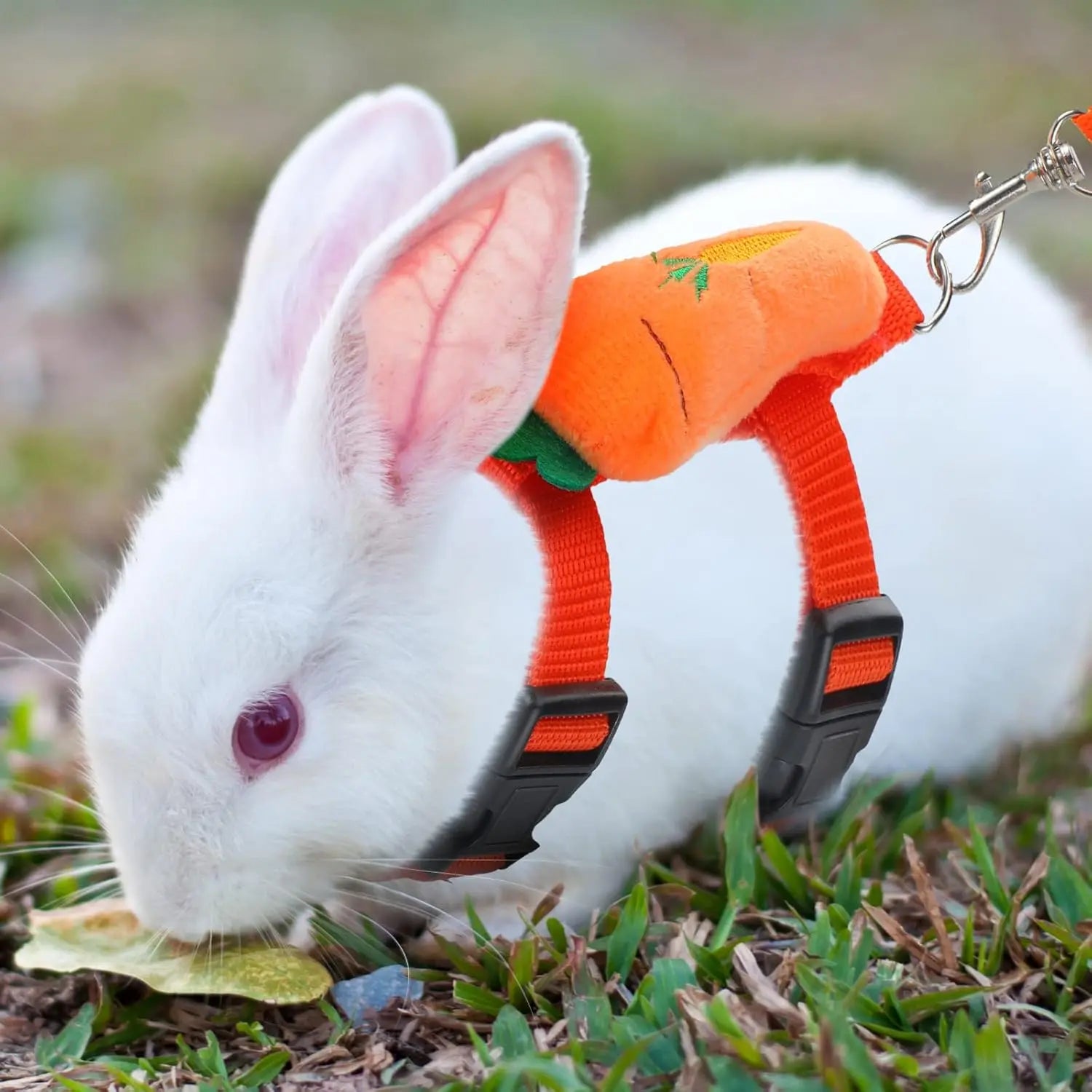 4-Pack Adjustable Rabbit Vest Harness with Traction Rope for Small Pets - Ideal for Walking and Outdoor Activities