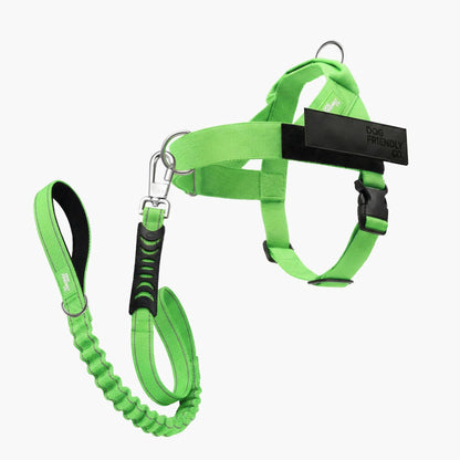 Dog Friendly Co. No-Pull Harness with D-Ring and Bungee Leash
