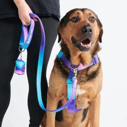 Spark Paws Premium Dog Leash and Poop Bag Set - Heavy-Duty Alloy Hook for Strong Breeds - Comfortable, Durable, and Secure Design