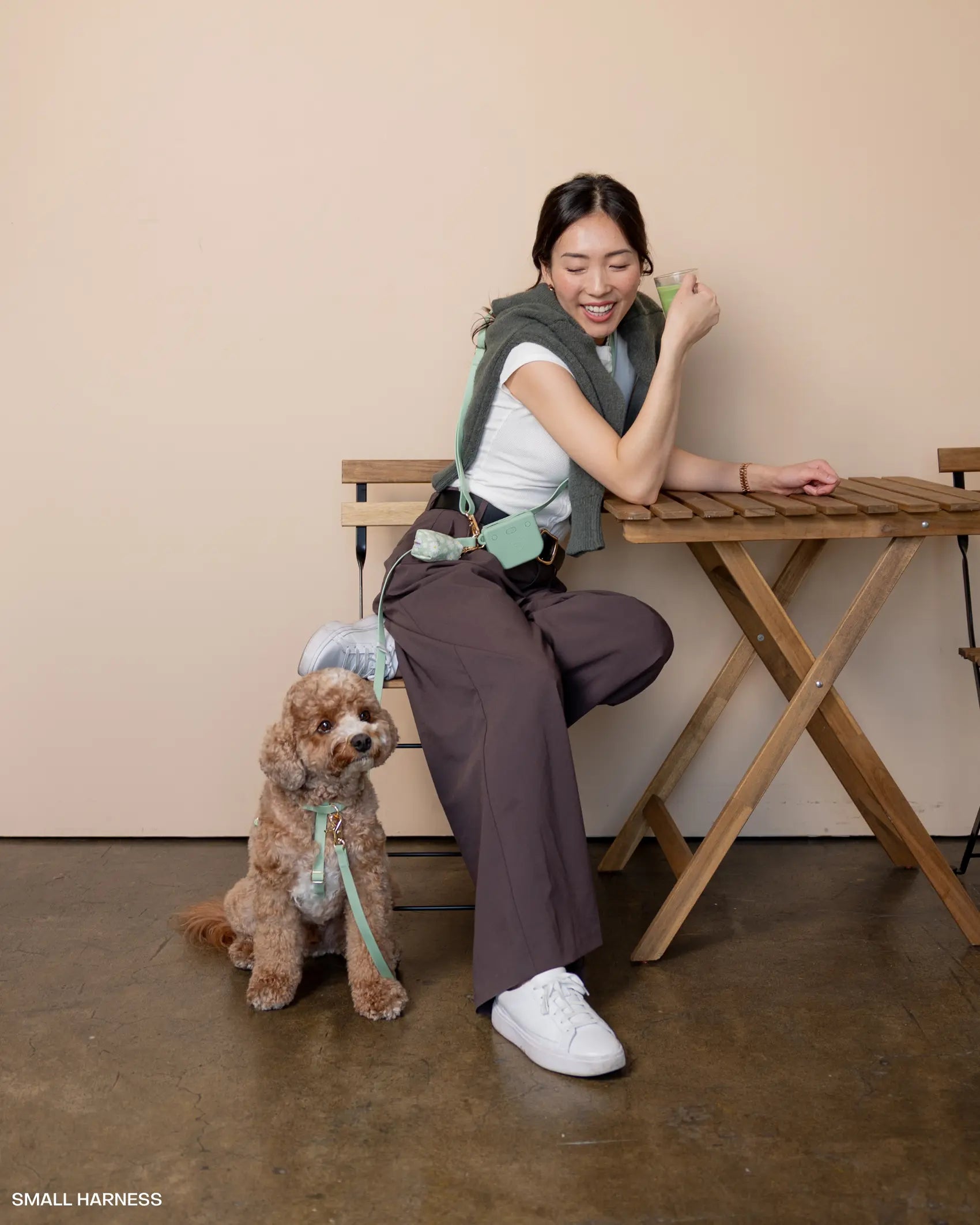 4-in-1 Convertible Hands-Free Cloud Dog Leash, 8.5 Feet Long, Available in 5/8 Inch or 3/4 Inch Widths