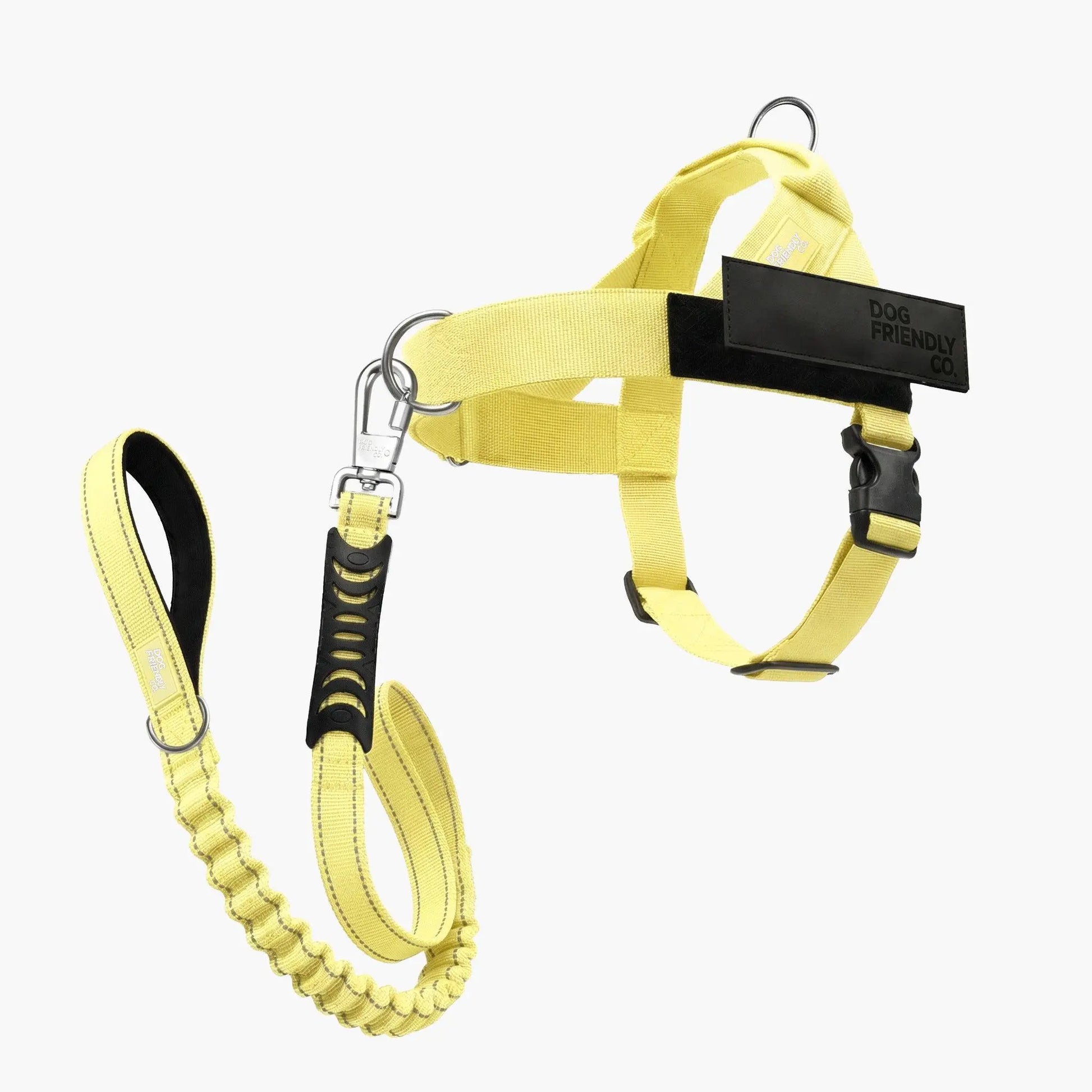 Dog Friendly Co. No-Pull Harness with D-Ring and Bungee Leash