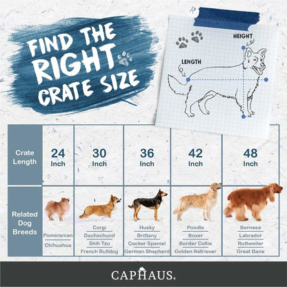 CAPHAUS Foldable Wire Dog Crate with Leak-Proof Pan, Protective Feet, and Divider Panel for Small, Medium, and Large Dogs - Available in 24” and 30” Single Door Options