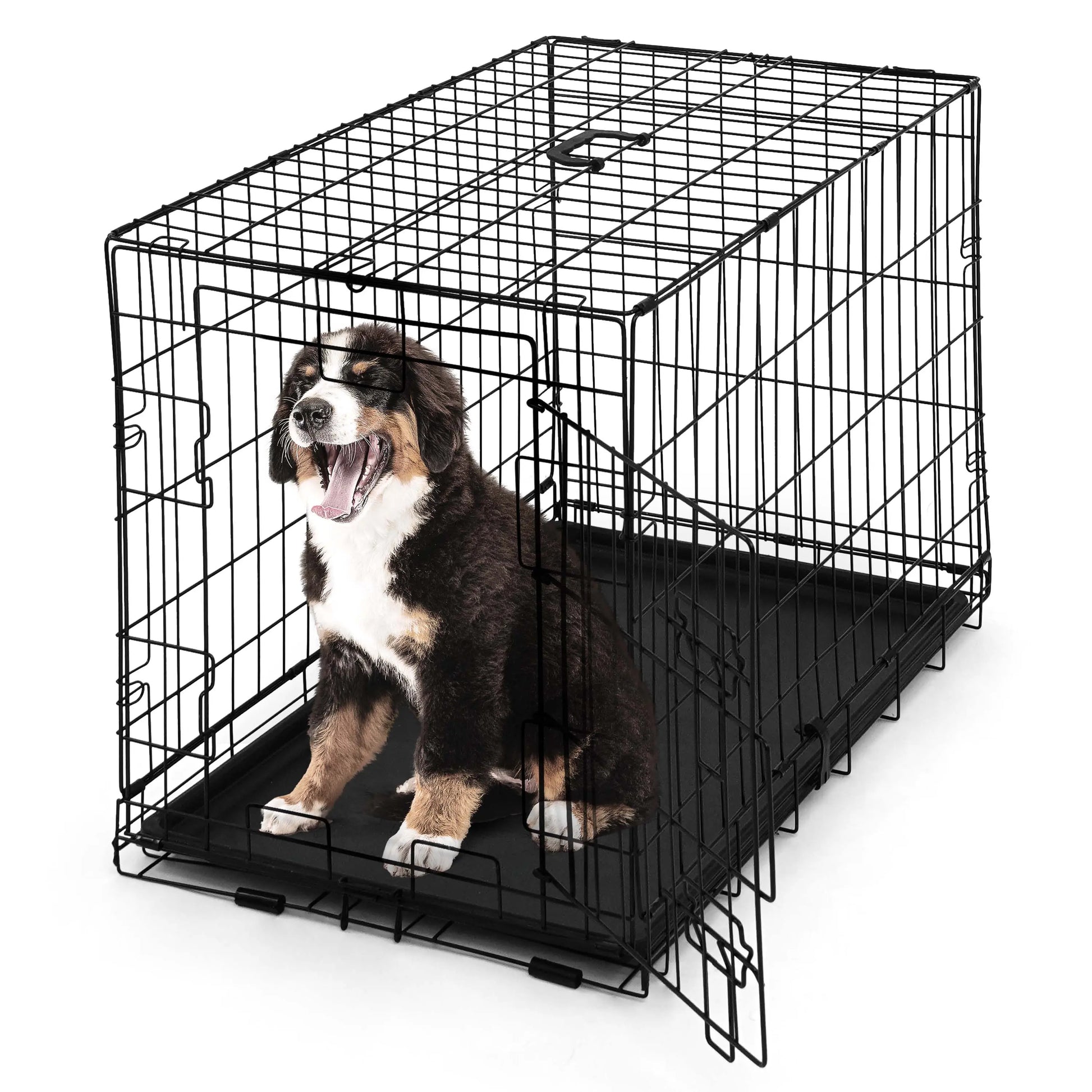 CAPHAUS Foldable Wire Dog Crate with Leak-Proof Pan, Protective Feet, and Divider Panel for Small, Medium, and Large Dogs - Available in 24” and 30” Single Door Options