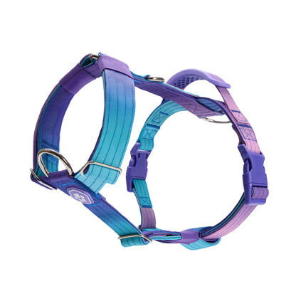 Spark Paws Comfort Control Large Dog No-Pull Harness with Front Clip - Durable Halter Design for Strong Breeds