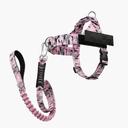 Dog Friendly Co. No-Pull Harness with D-Ring and Bungee Leash