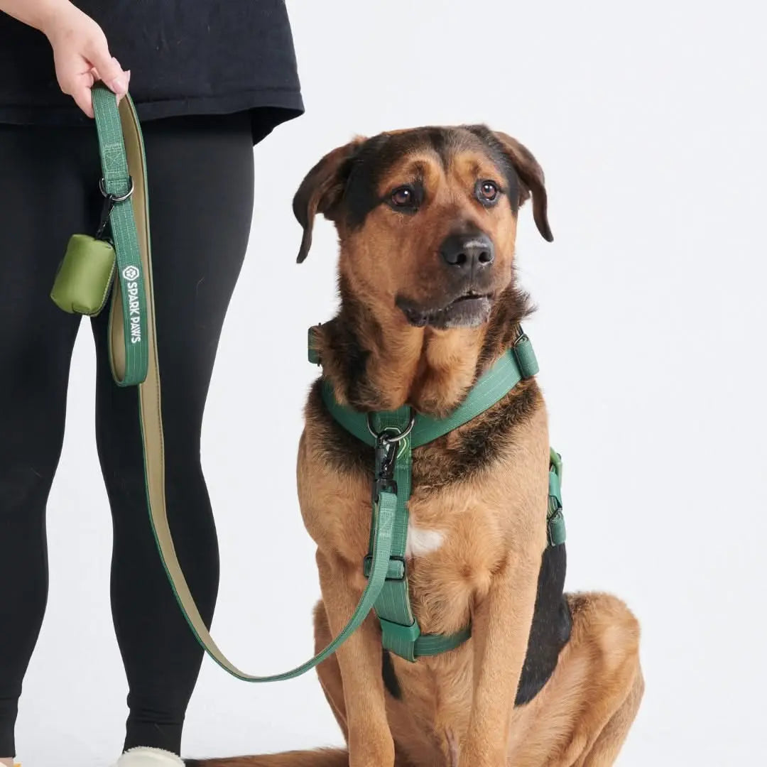 Spark Paws Premium Dog Leash and Poop Bag Set - Heavy-Duty Alloy Hook for Strong Breeds - Comfortable, Durable, and Secure Design