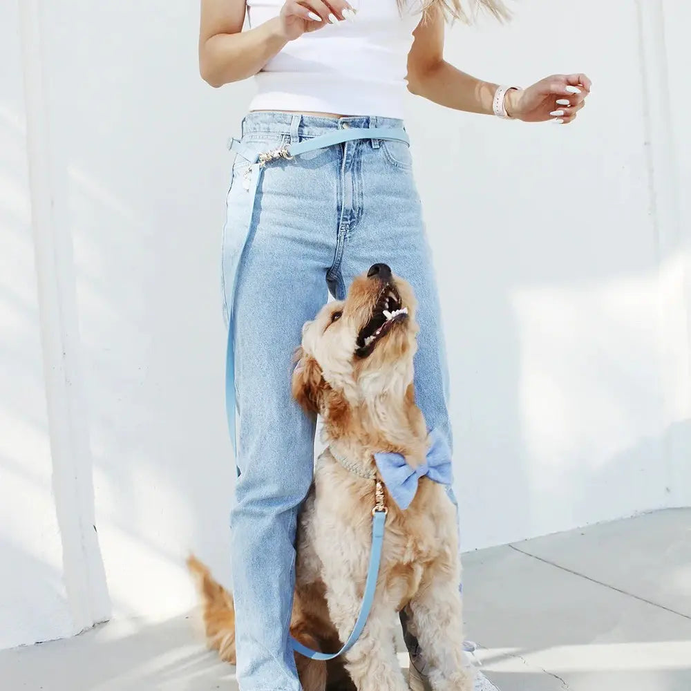 4-in-1 Convertible Hands-Free Cloud Dog Leash, 8.5 Feet Long, Available in 5/8 Inch or 3/4 Inch Widths