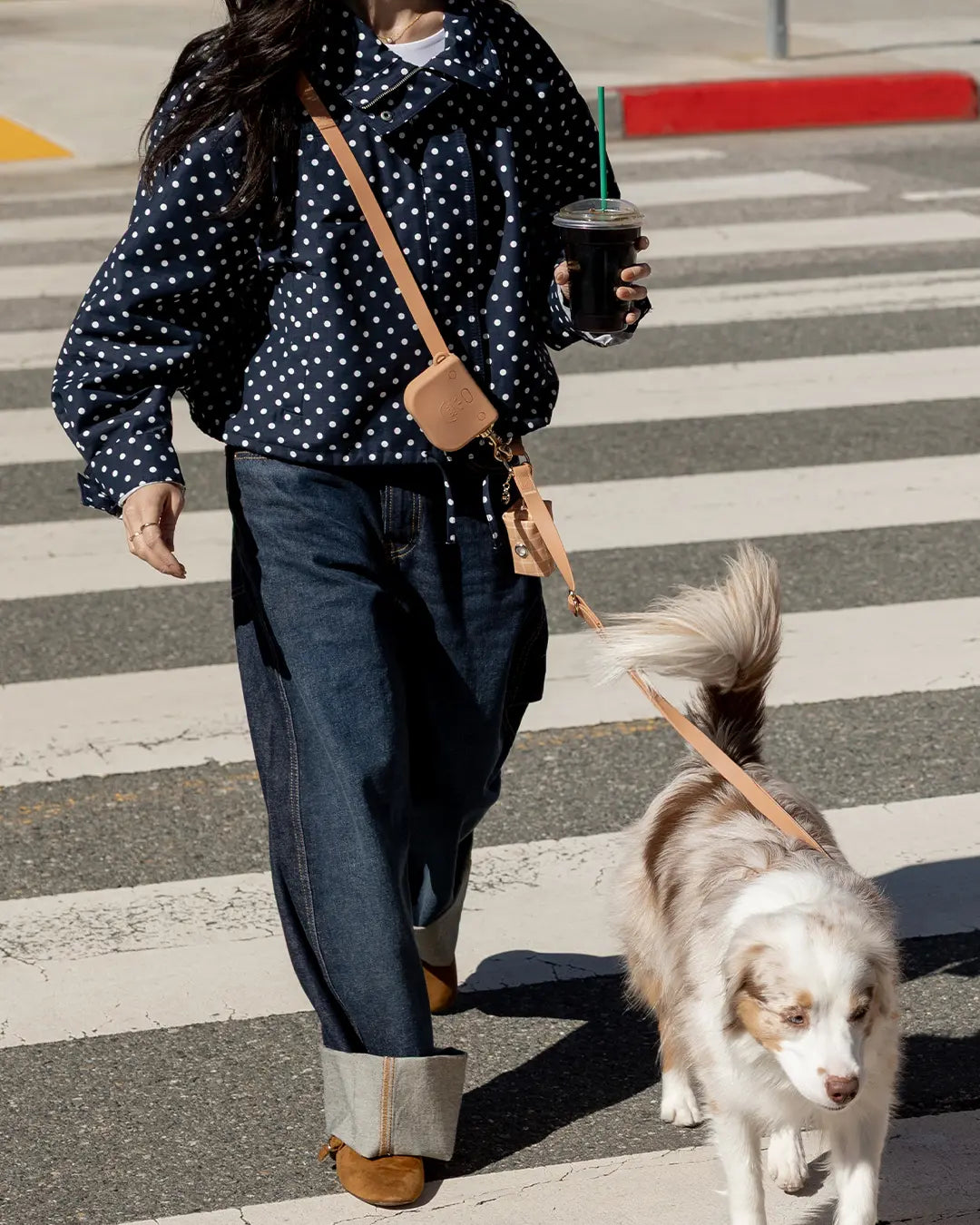 4-in-1 Convertible Hands-Free Cloud Dog Leash, 8.5 Feet Long, Available in 5/8 Inch or 3/4 Inch Widths