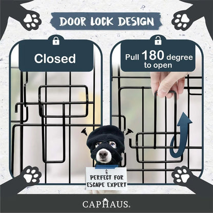 CAPHAUS Foldable Wire Dog Crate with Leak-Proof Pan, Protective Feet, and Divider Panel for Small, Medium, and Large Dogs - Available in 24” and 30” Single Door Options