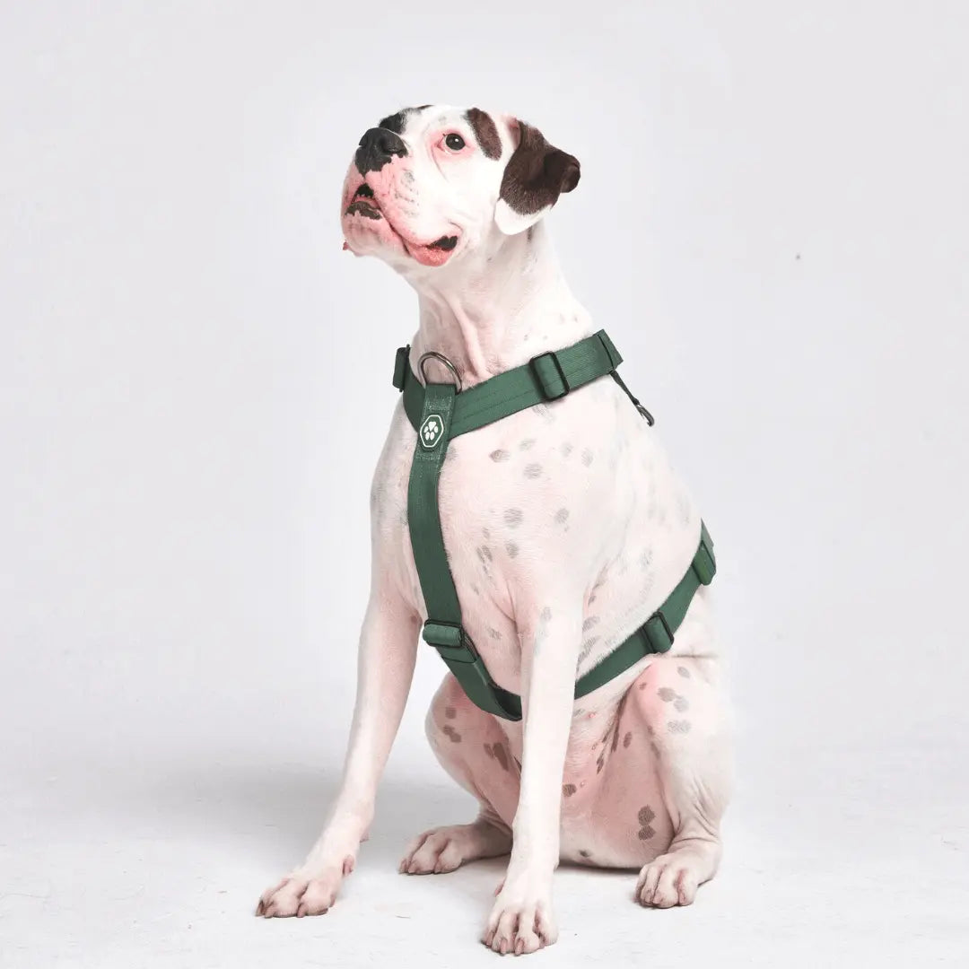 Spark Paws Comfort Control Large Dog No-Pull Harness with Front Clip - Durable Halter Design for Strong Breeds