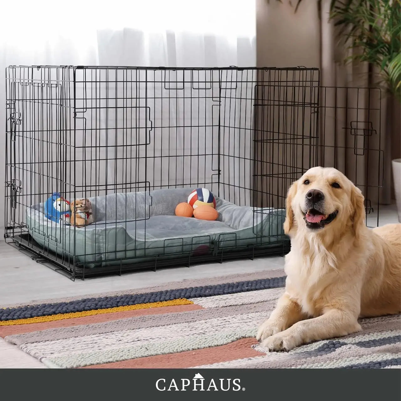 CAPHAUS Foldable Wire Dog Crate with Leak-Proof Pan, Protective Feet, and Divider Panel for Small, Medium, and Large Dogs - Available in 24” and 30” Single Door Options