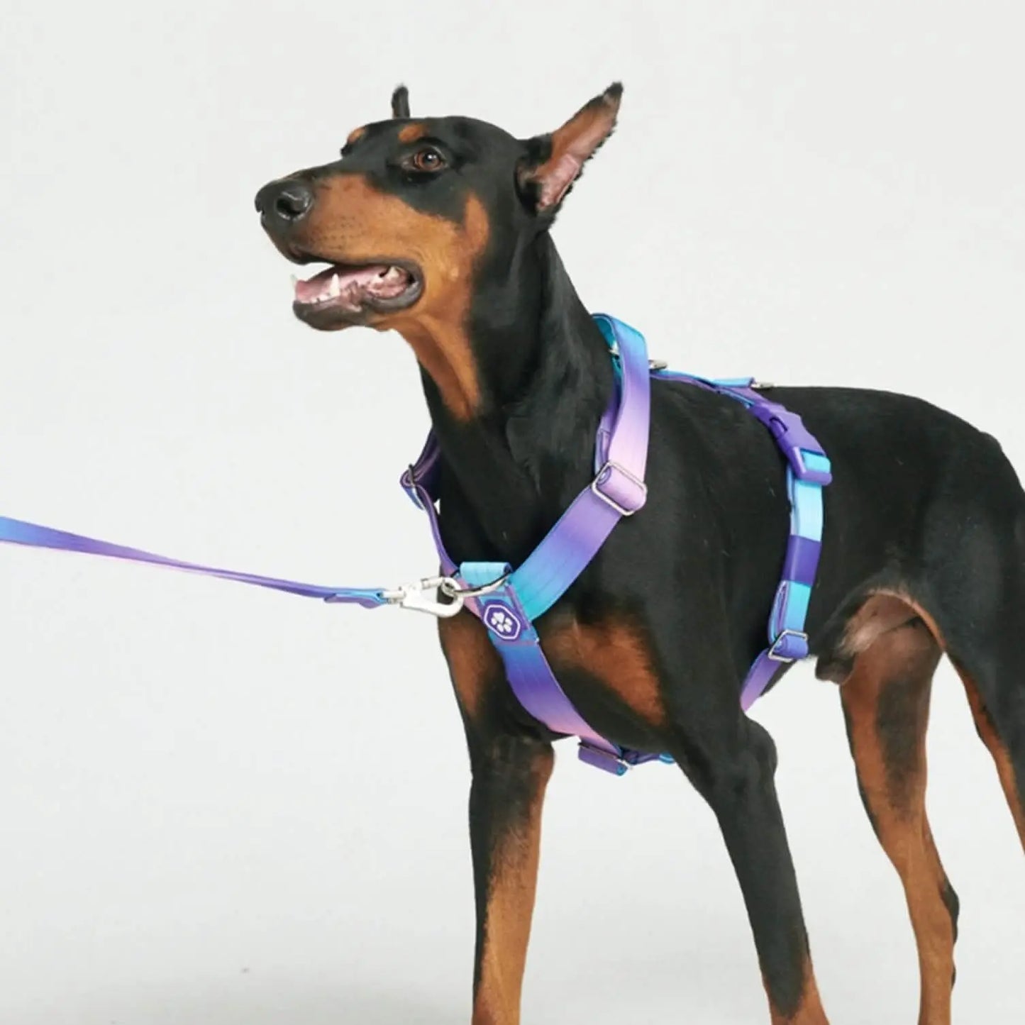 Spark Paws Comfort Control Large Dog No-Pull Harness with Front Clip - Durable Halter Design for Strong Breeds