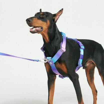 Spark Paws Comfort Control Large Dog No-Pull Harness with Front Clip - Durable Halter Design for Strong Breeds