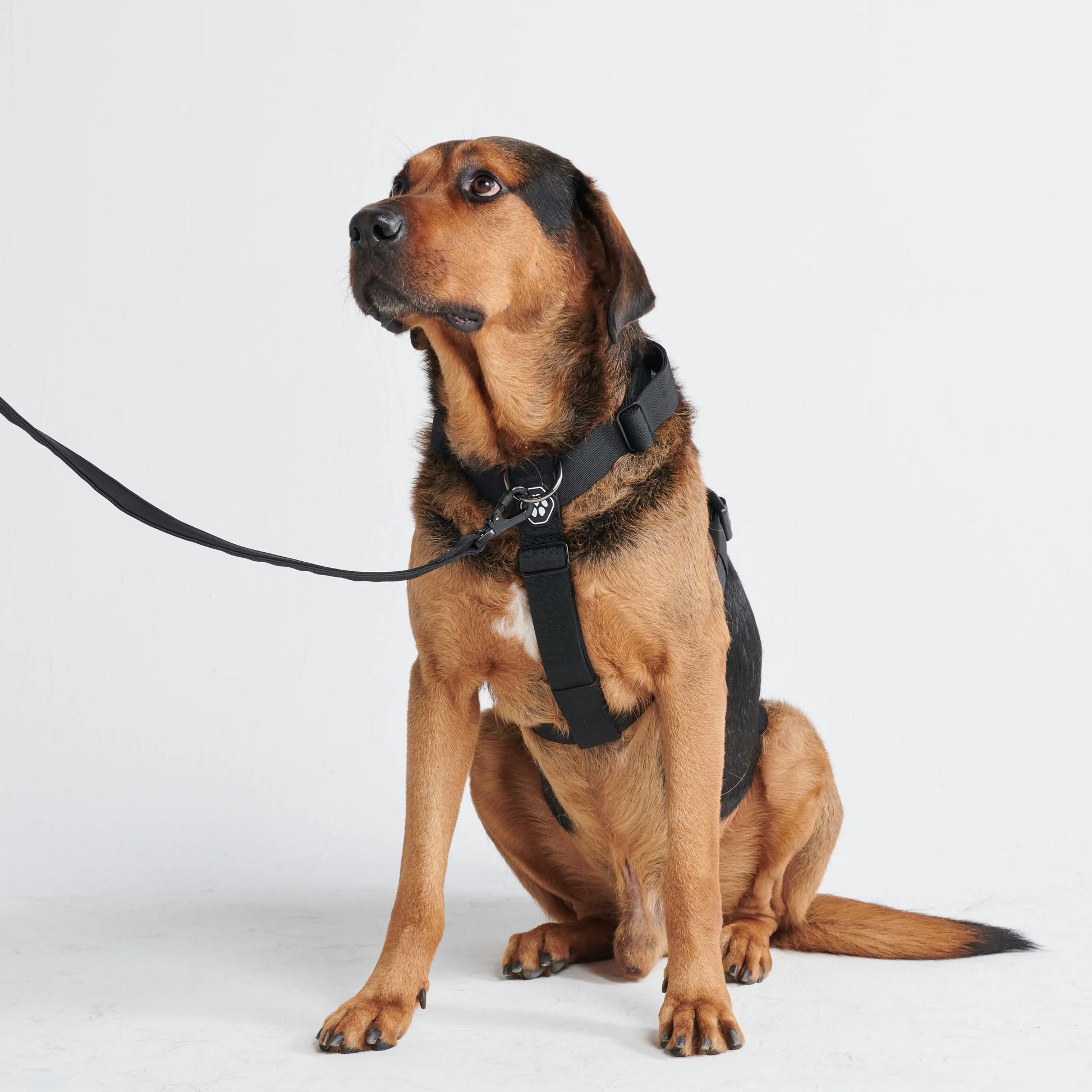 Spark Paws Comfort Control Large Dog No-Pull Harness with Front Clip - Durable Halter Design for Strong Breeds