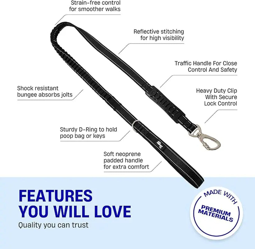 Dog Friendly Co. No-Pull Harness with D-Ring and Bungee Leash