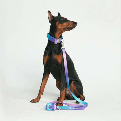 Spark Paws Premium Dog Leash and Poop Bag Set - Heavy-Duty Alloy Hook for Strong Breeds - Comfortable, Durable, and Secure Design