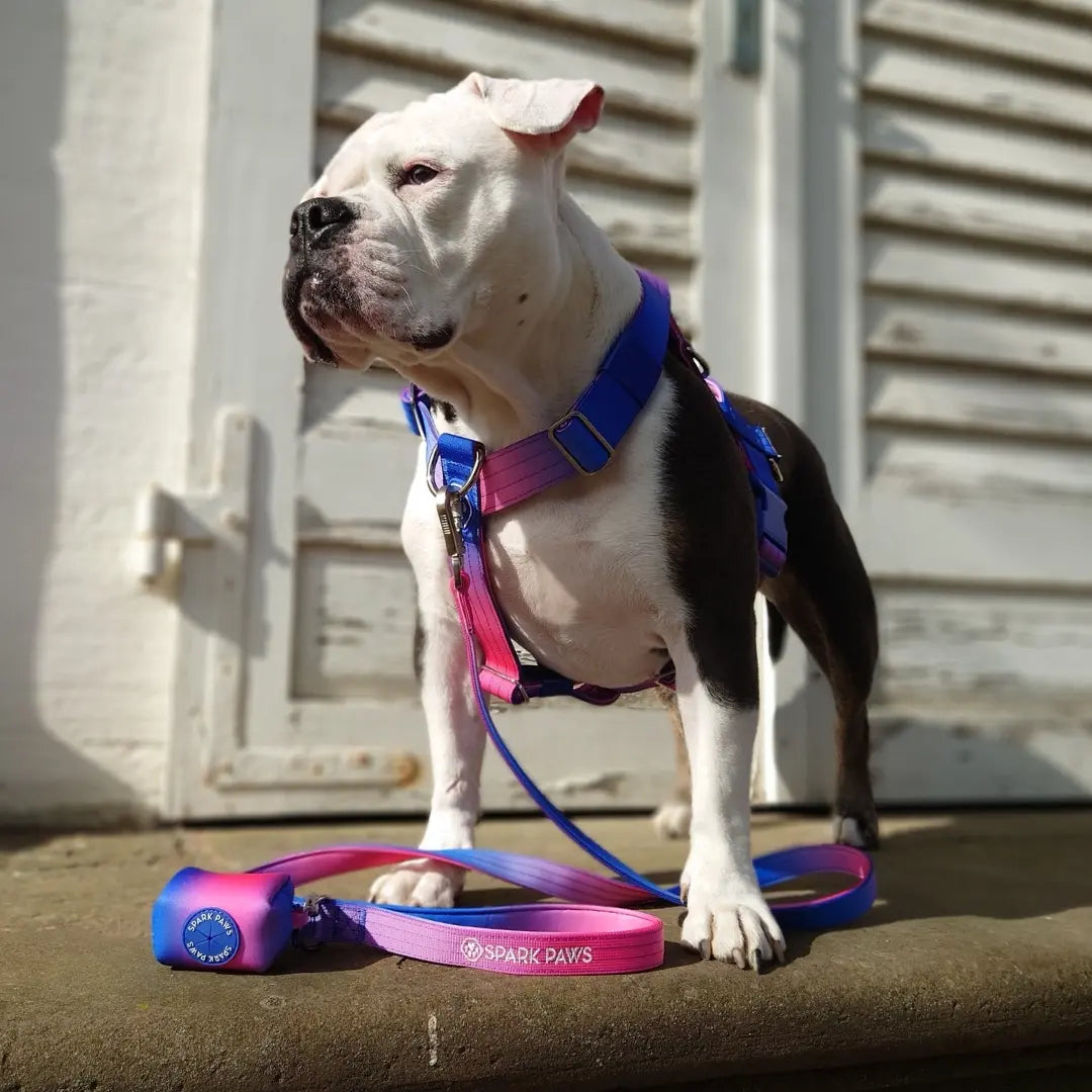 Spark Paws Premium Dog Leash and Poop Bag Set - Heavy-Duty Alloy Hook for Strong Breeds - Comfortable, Durable, and Secure Design