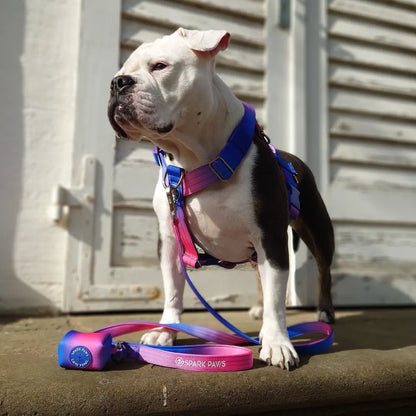 Spark Paws Premium Dog Leash and Poop Bag Set - Heavy-Duty Alloy Hook for Strong Breeds - Comfortable, Durable, and Secure Design
