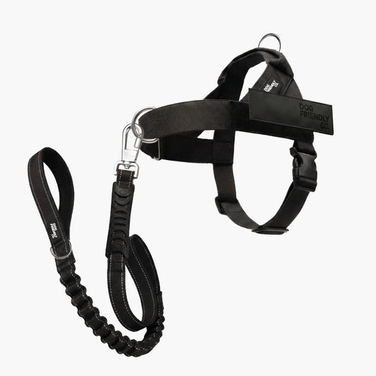 Dog Friendly Co. No-Pull Harness with D-Ring and Bungee Leash