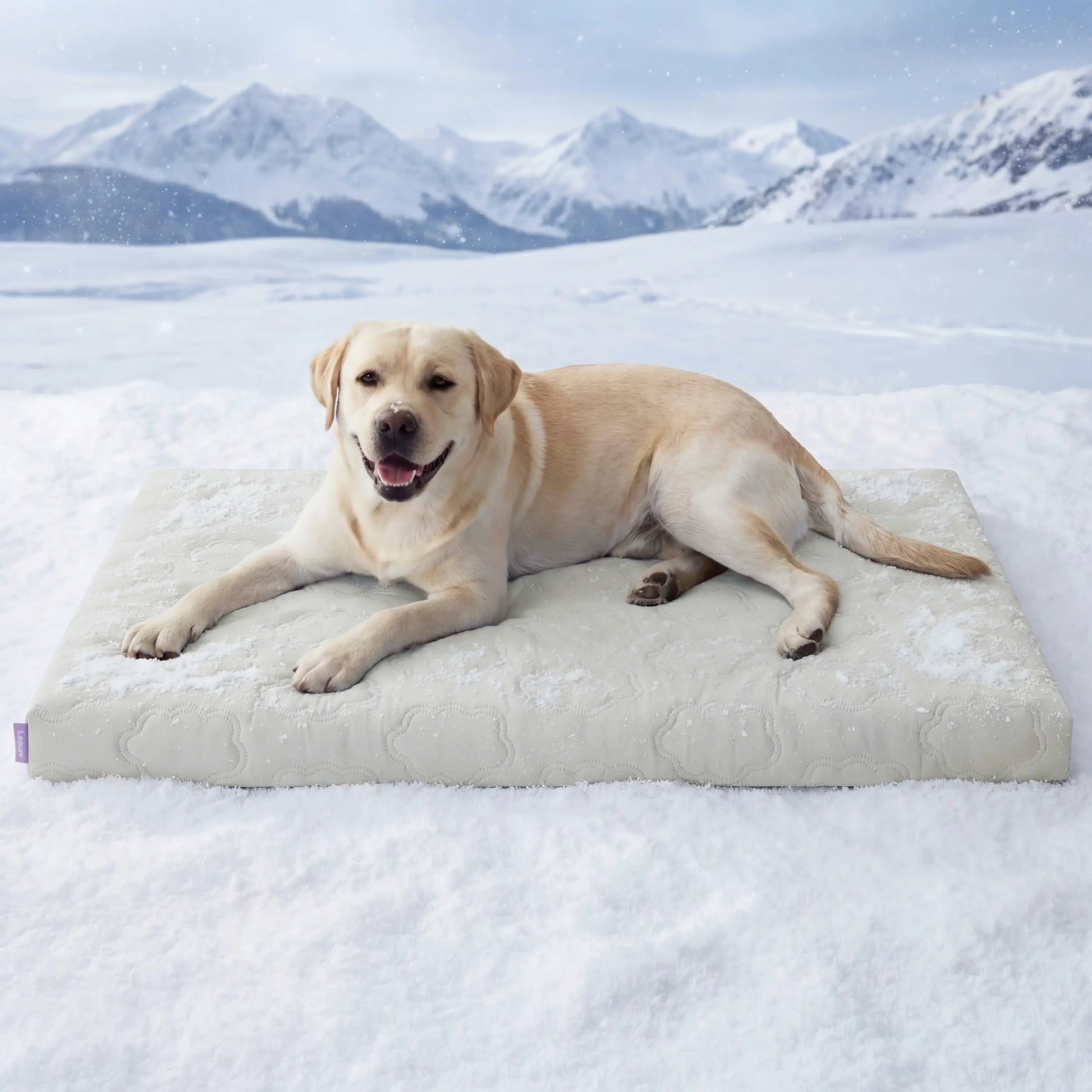Bedsure Washable Cooling Mat for Dogs - Q-MAX>0.4 Non-Slip Summer Crate Bed for Large Dogs, No Gel or Electricity Required
