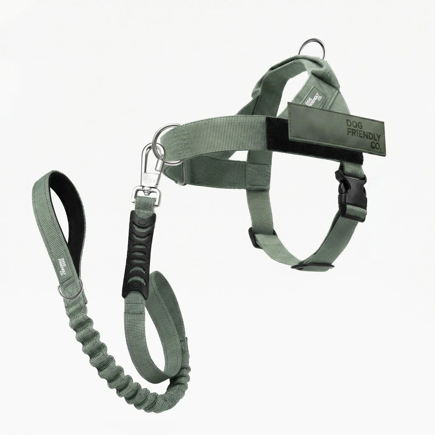 Dog Friendly Co. No-Pull Harness with D-Ring and Bungee Leash