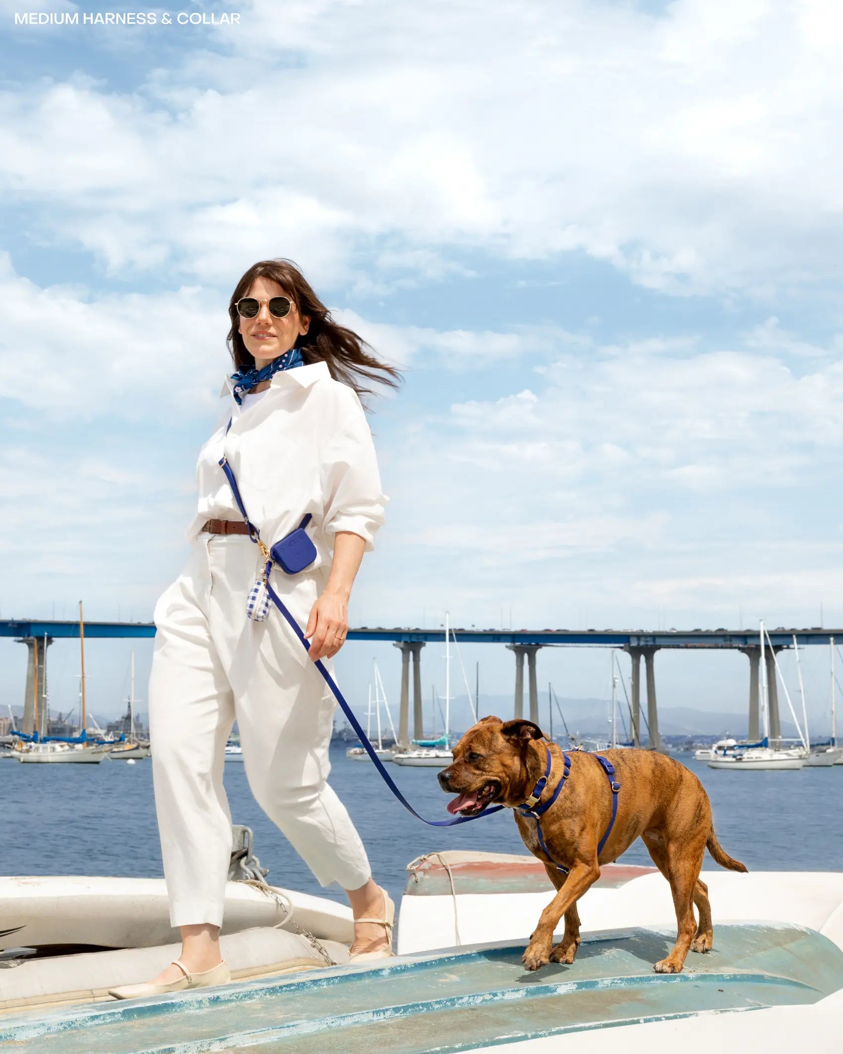 4-in-1 Convertible Hands-Free Cloud Dog Leash, 8.5 Feet Long, Available in 5/8 Inch or 3/4 Inch Widths