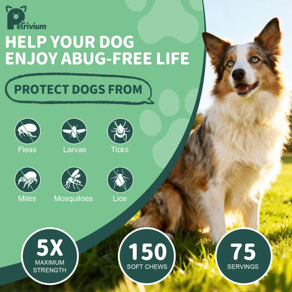 Dog Flea and Tick Support Soft Chews - Natural Oral Supplement for All Breeds and Sizes - 150 Chicken Flavored Treats