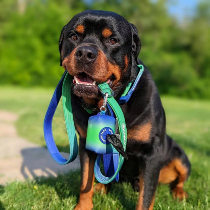 Spark Paws Premium Dog Leash and Poop Bag Set - Heavy-Duty Alloy Hook for Strong Breeds - Comfortable, Durable, and Secure Design
