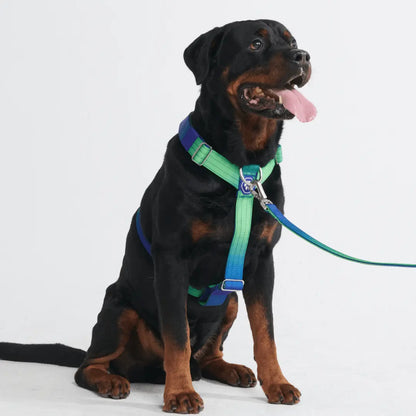 Spark Paws Comfort Control Large Dog No-Pull Harness with Front Clip - Durable Halter Design for Strong Breeds